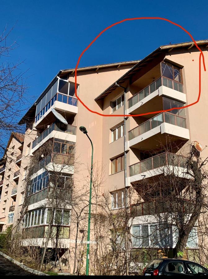 Viktory Apartment Brasov Exterior photo
